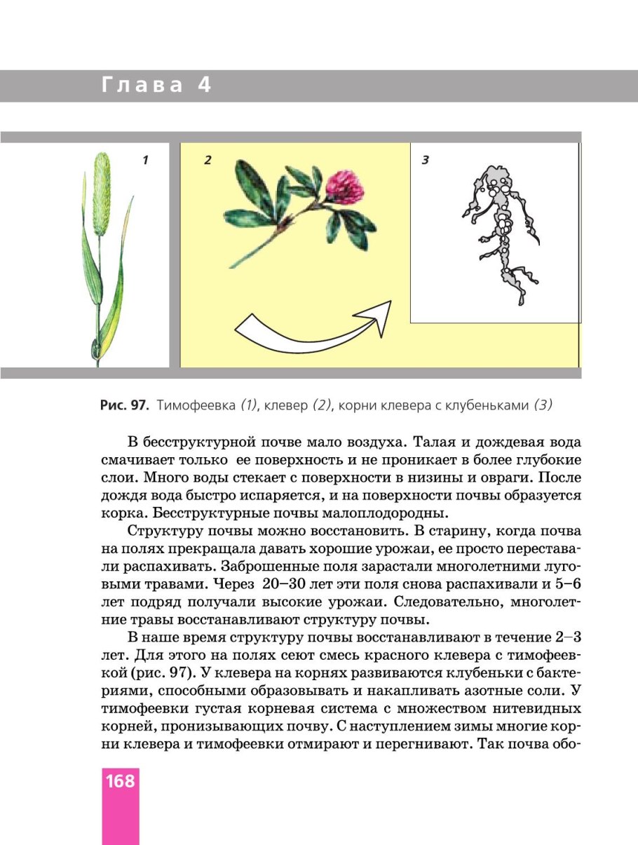 Бурые водоросли ламинария
