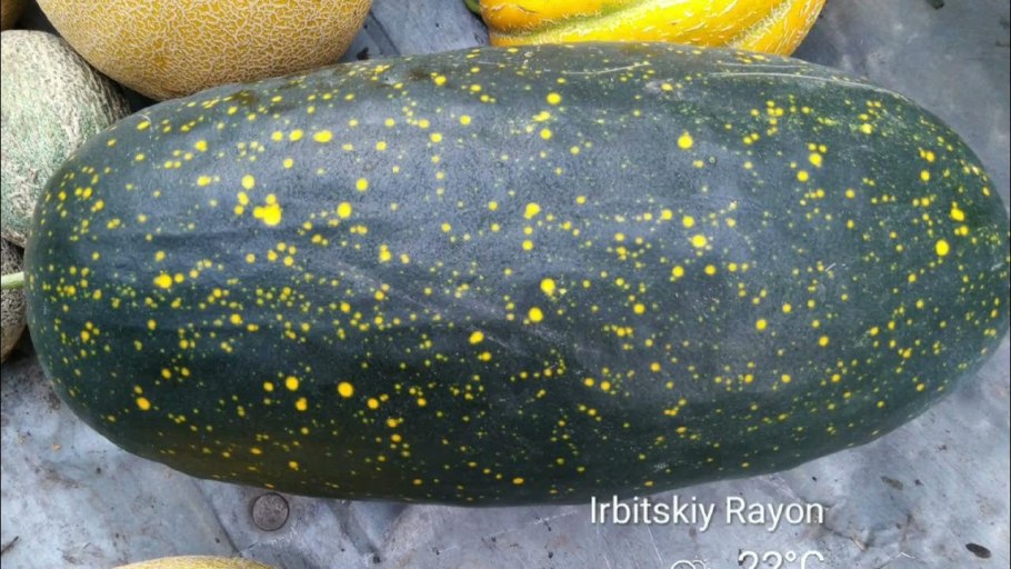 Арбуз Orange King