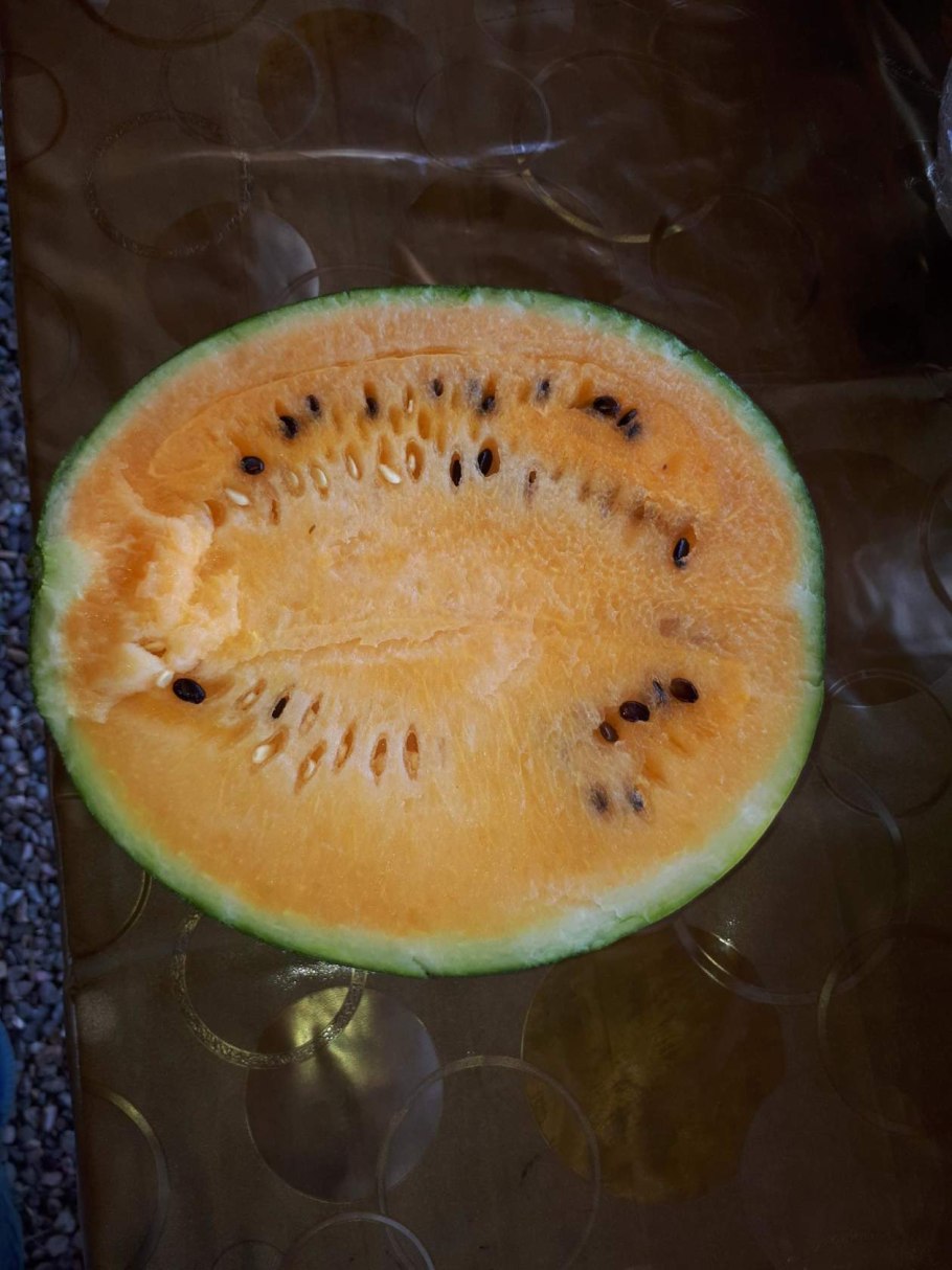 Арбуз Шуга Еллоу f1