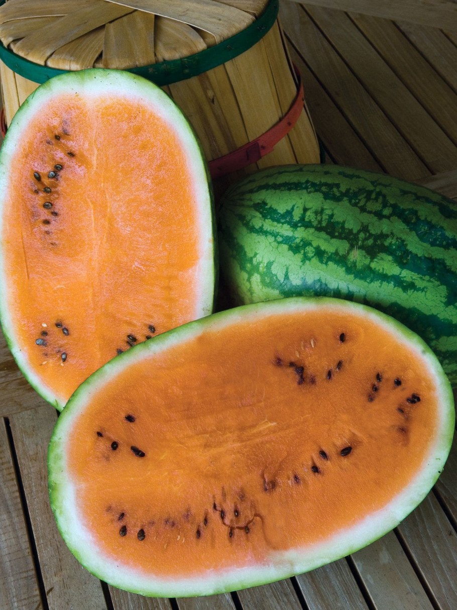 Арбуз оранжевый, 3,5-8 кг