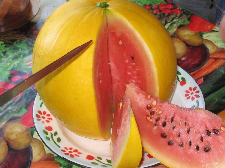 Арбузный чел Евангелион