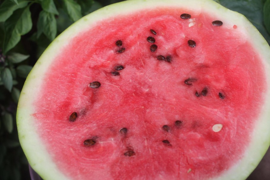 Астраханский Арбуз черный принц