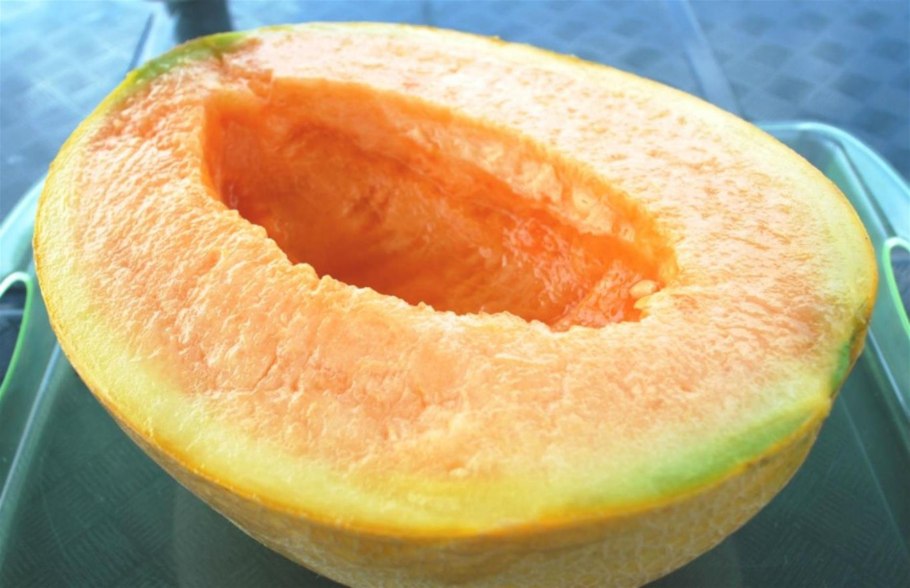 Арбуз сорт барбета