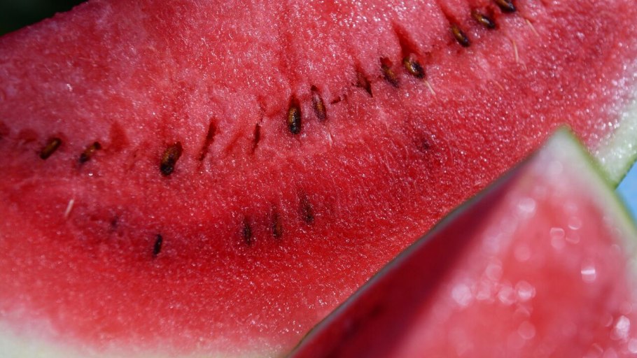 Арбуз "оранж Кинг f1" семена