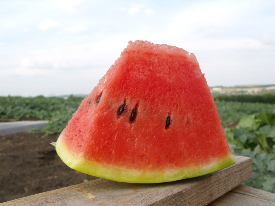 Арбуз японский суика Свит