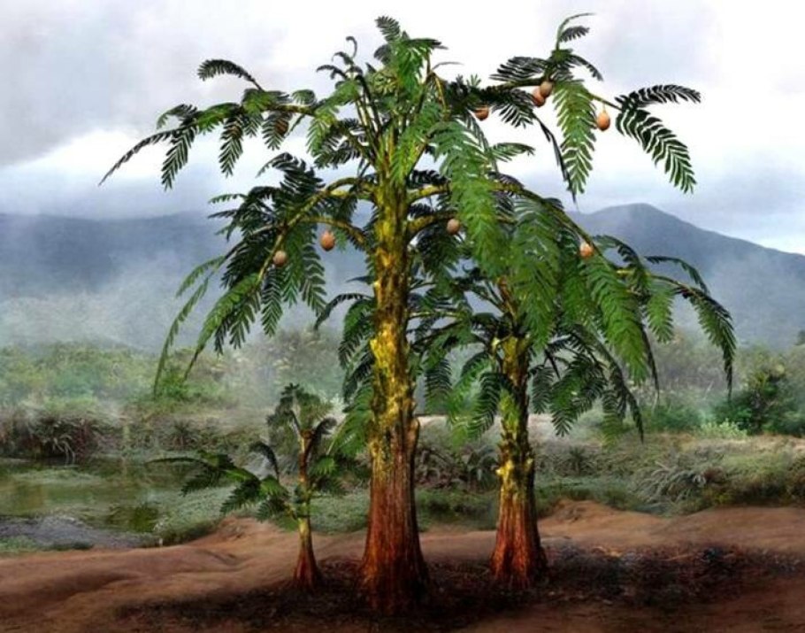 Палеозой Девон растения