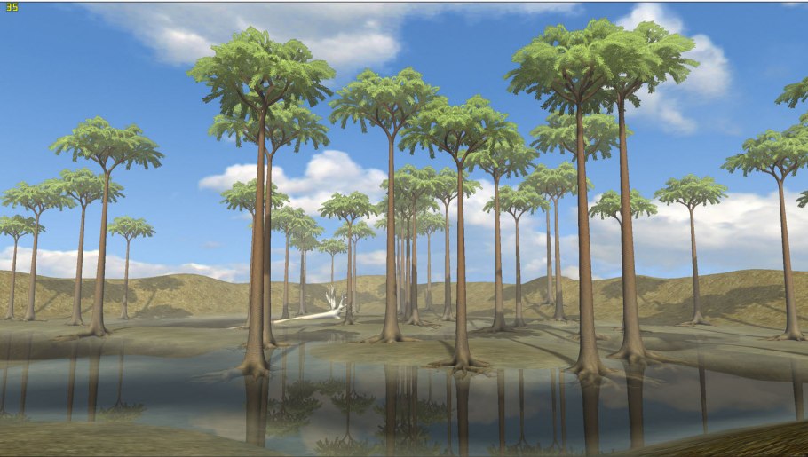 Древовидные папоротники палеозой