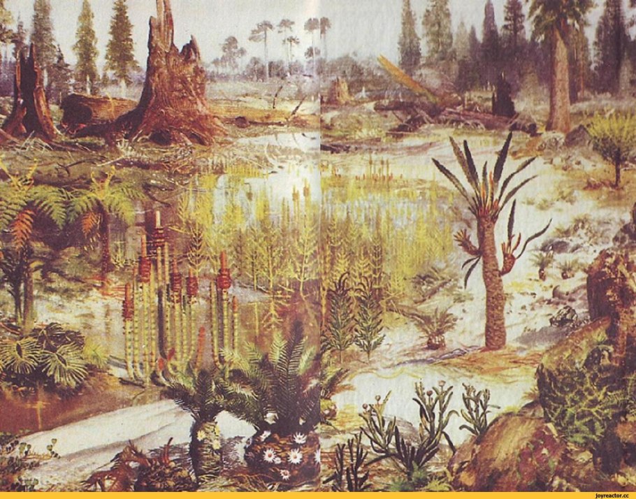 Мезозойская Эра Юрский период меловой период