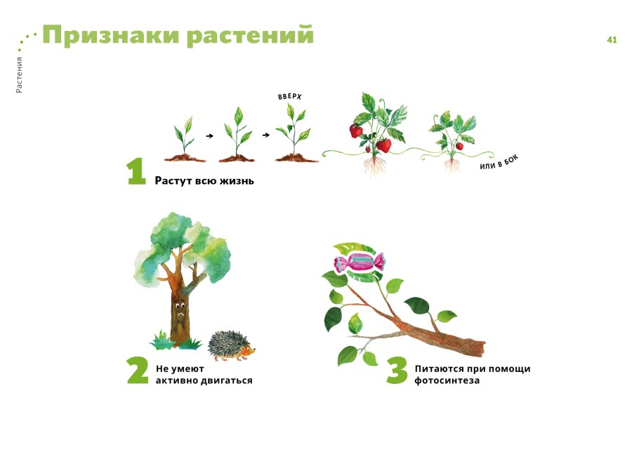 Признаки растений