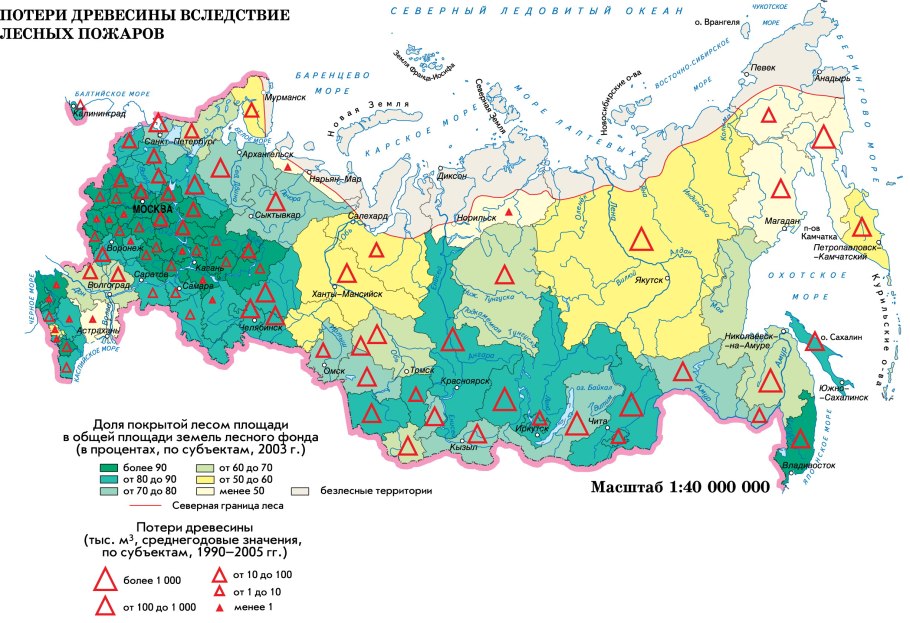 Лесное хозяйство России карта