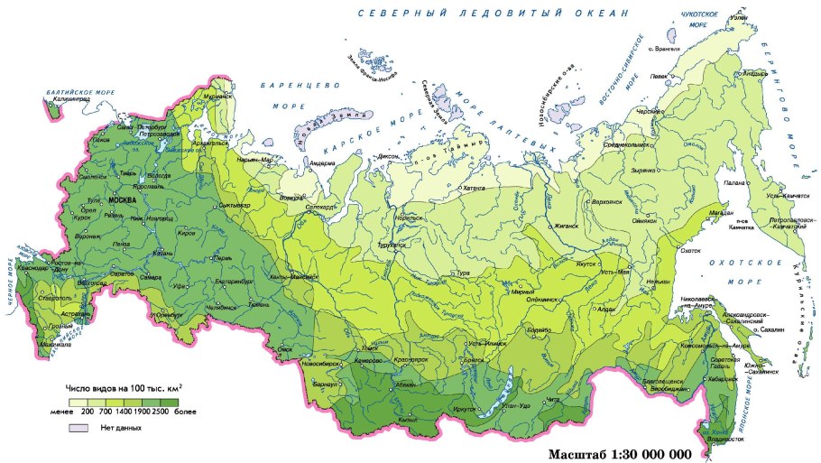 Леса России карта