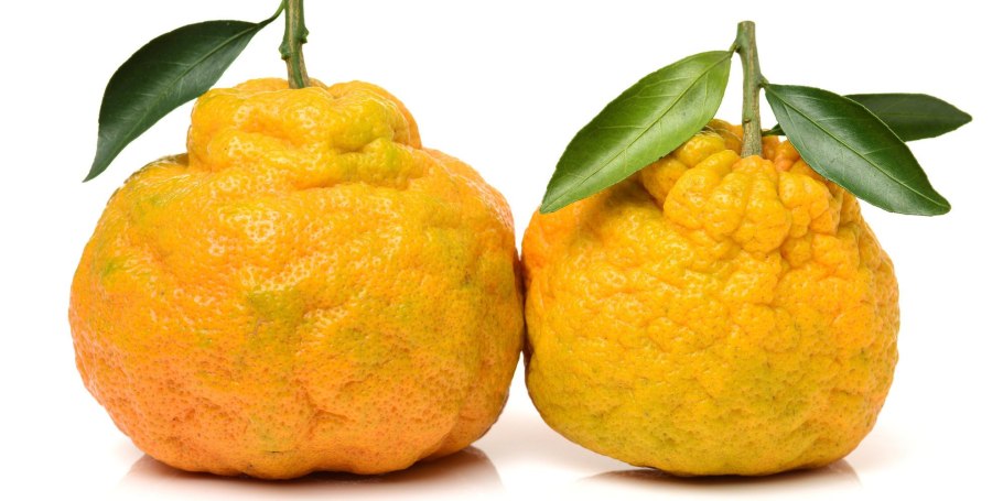 Агли (углифрут)
