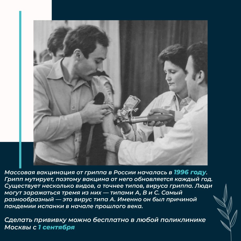 Высказывания про большую попу