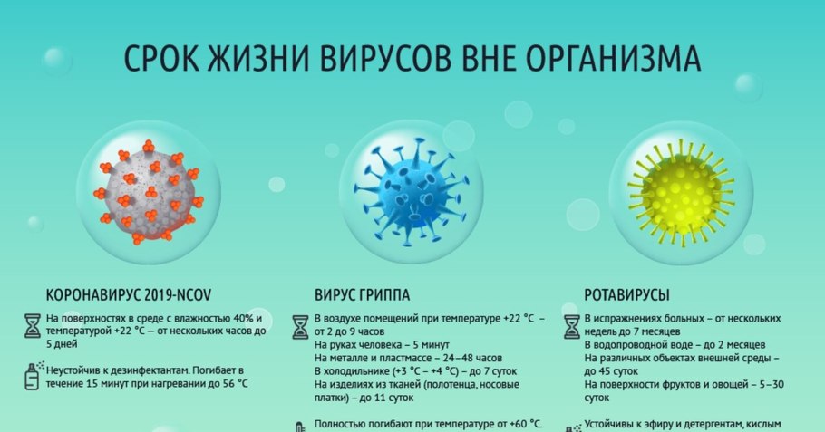 Интересные факты о блоке