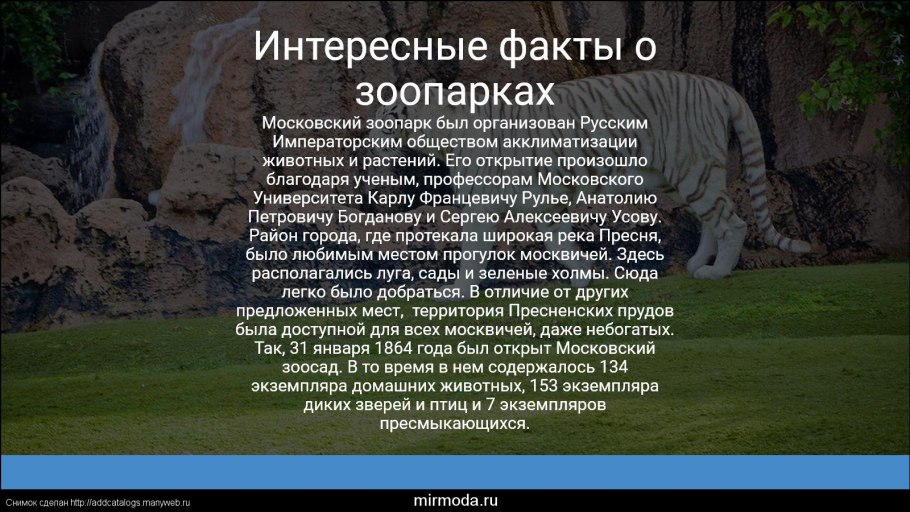 Интересные факты