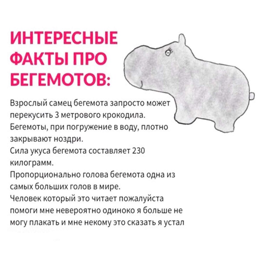 3 Интересных факта из жизни Бетховена