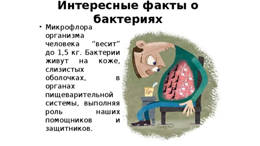 Типы личности экстраверт интроверт