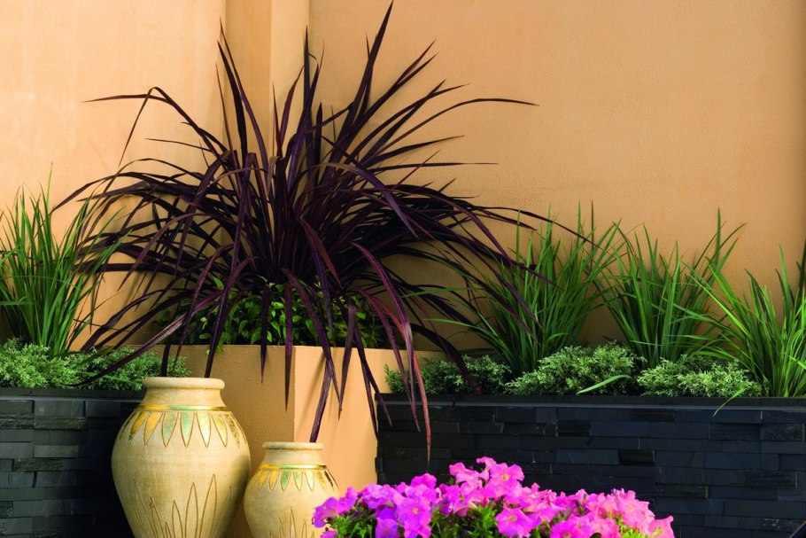 Цветы на подоконнике