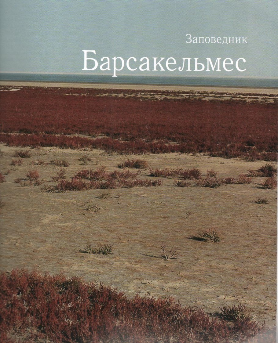 Остров БАРСАКЕЛЬМЕС Аральское
