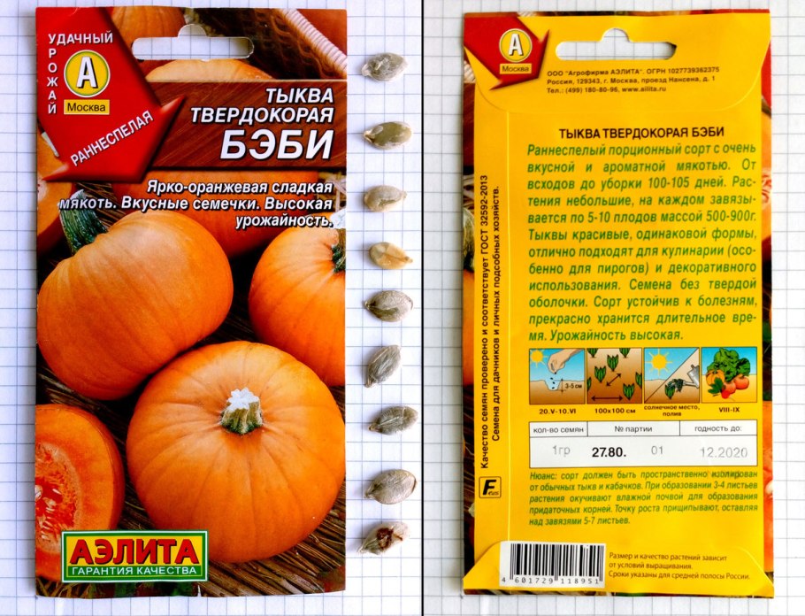 Тыква мускатная баттернат