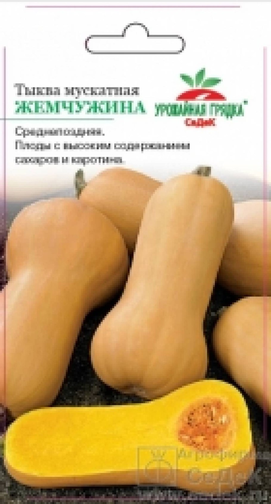 Тыква мускатная баттернат