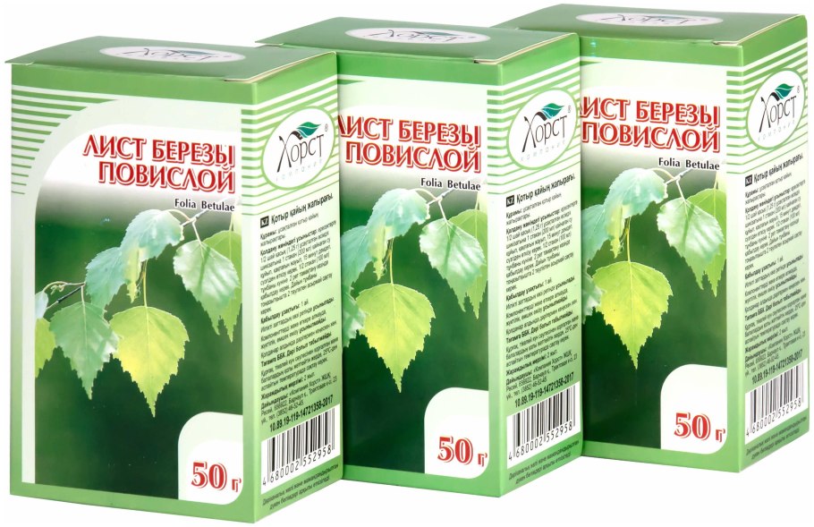 Береза пушистая Betula pubescens