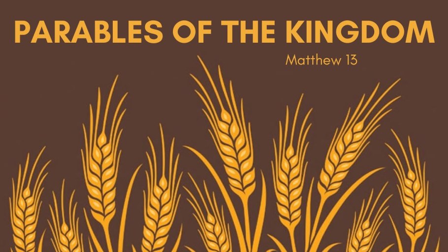 Урожайные поля