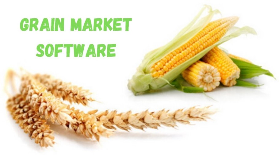 Колосья на ветру