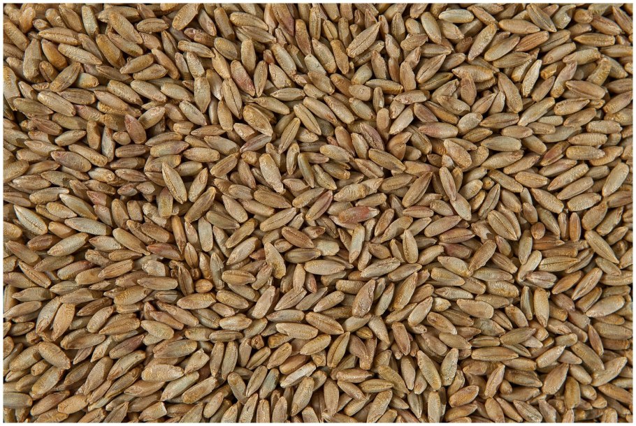 Saaten-Union GMBH VAT ID number