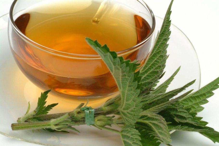 Крапива Онгаонга