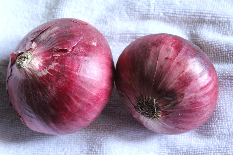 Лук грейтфул