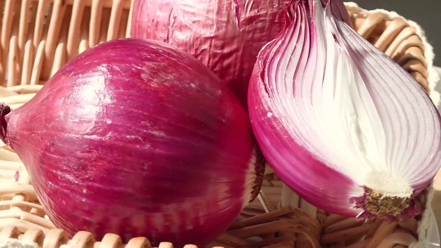 Лук репчатый