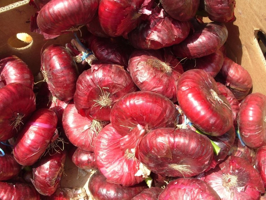 Связка лука