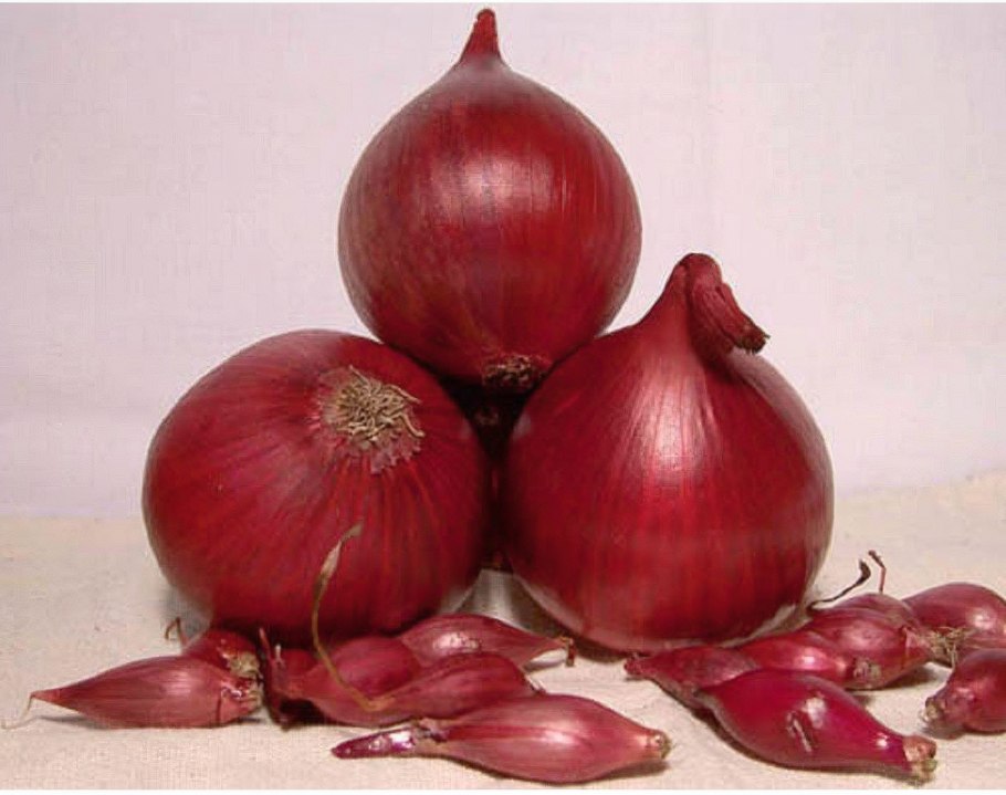 Красный лук с листьями