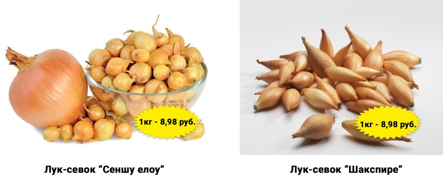 Лук красный очищенный