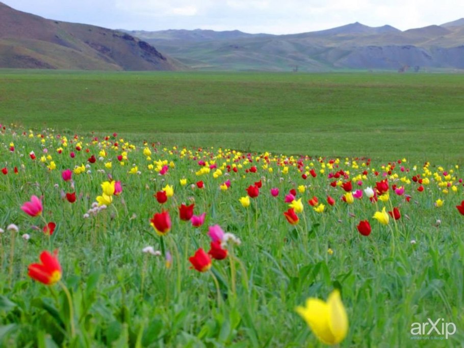 Оренбургский Степной заповедник