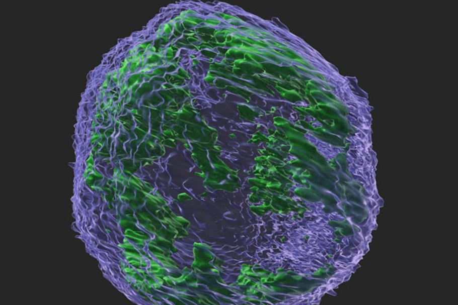 Cell structure