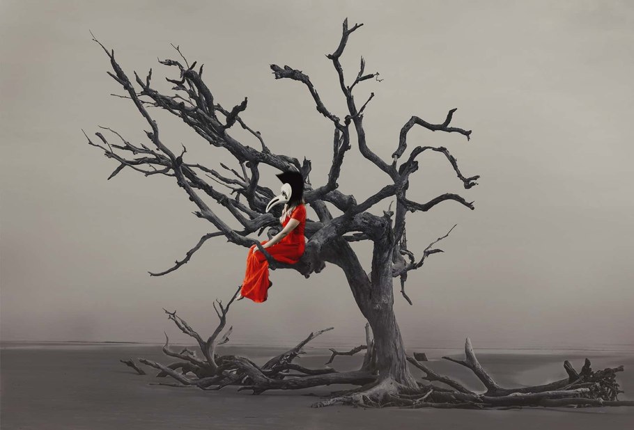 Джузгун (Calligonum)