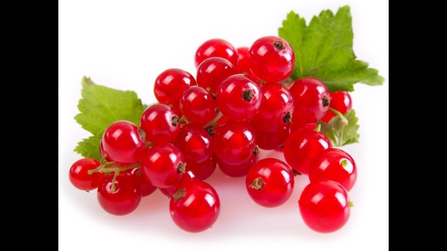 Красная и белая смородина