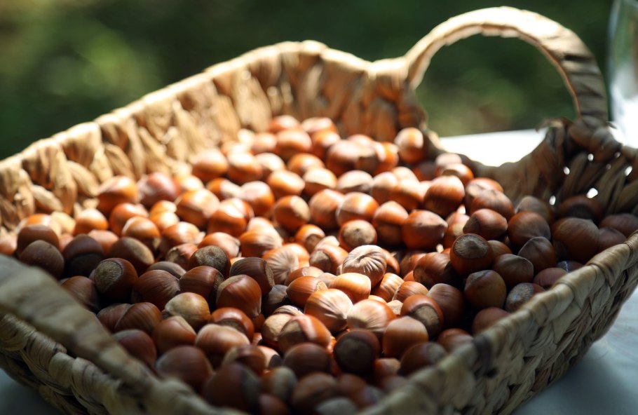 Орехи Абхазии