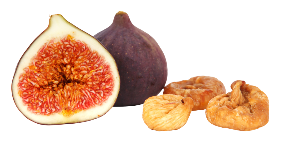 Фикус Инжирный