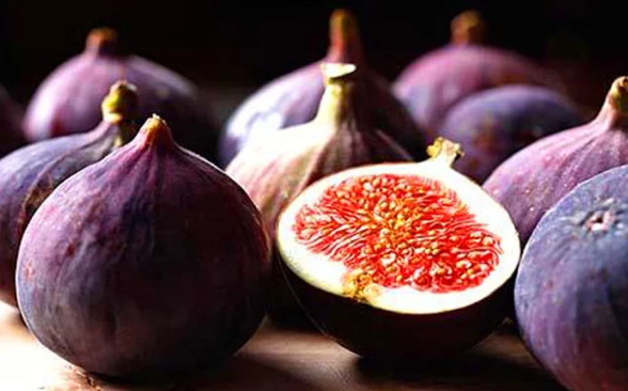 Смоковница винная ягода