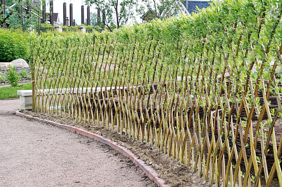 Схема посадки плодовых деревьев