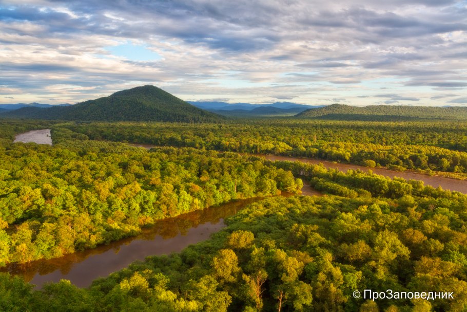 Заповедник Самарской области Жигулевский заповедник