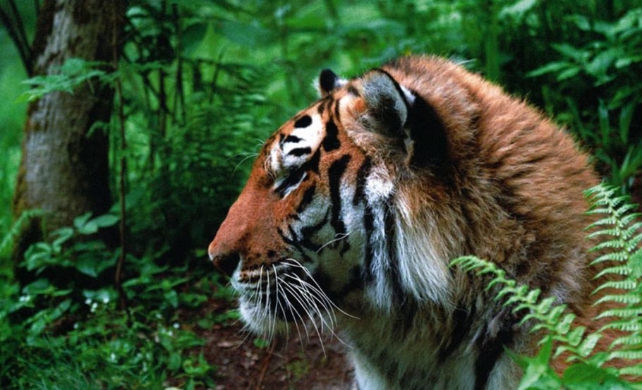 Забайкальский национальный парк краткое описание