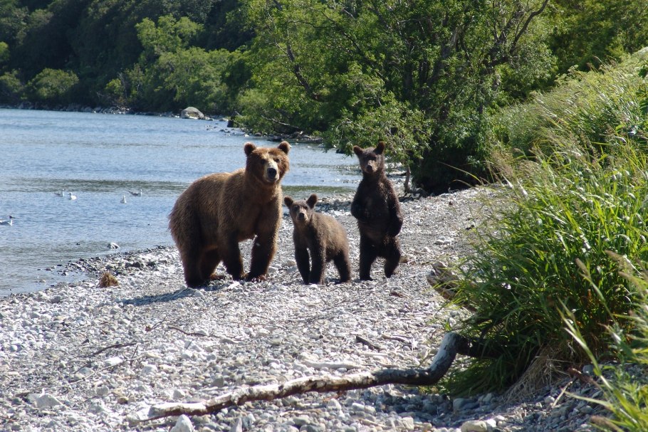 Анюйский национальный парк