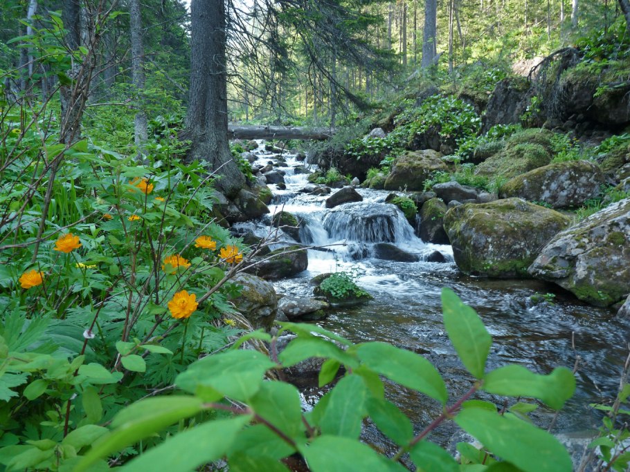 Югыд ва национальный парк