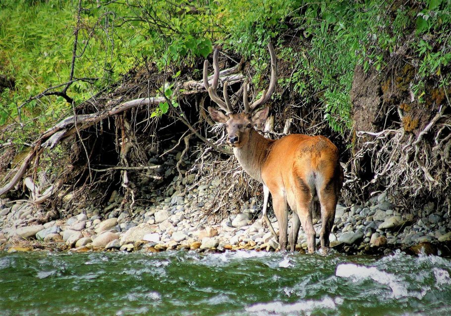Границы национального парка Анюйский