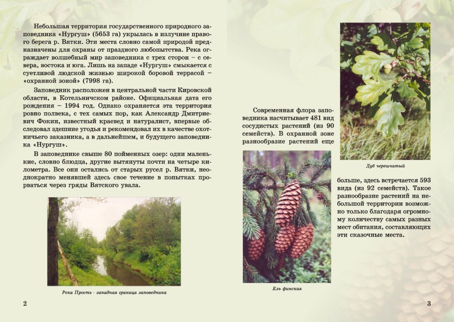 Прострел Тарао