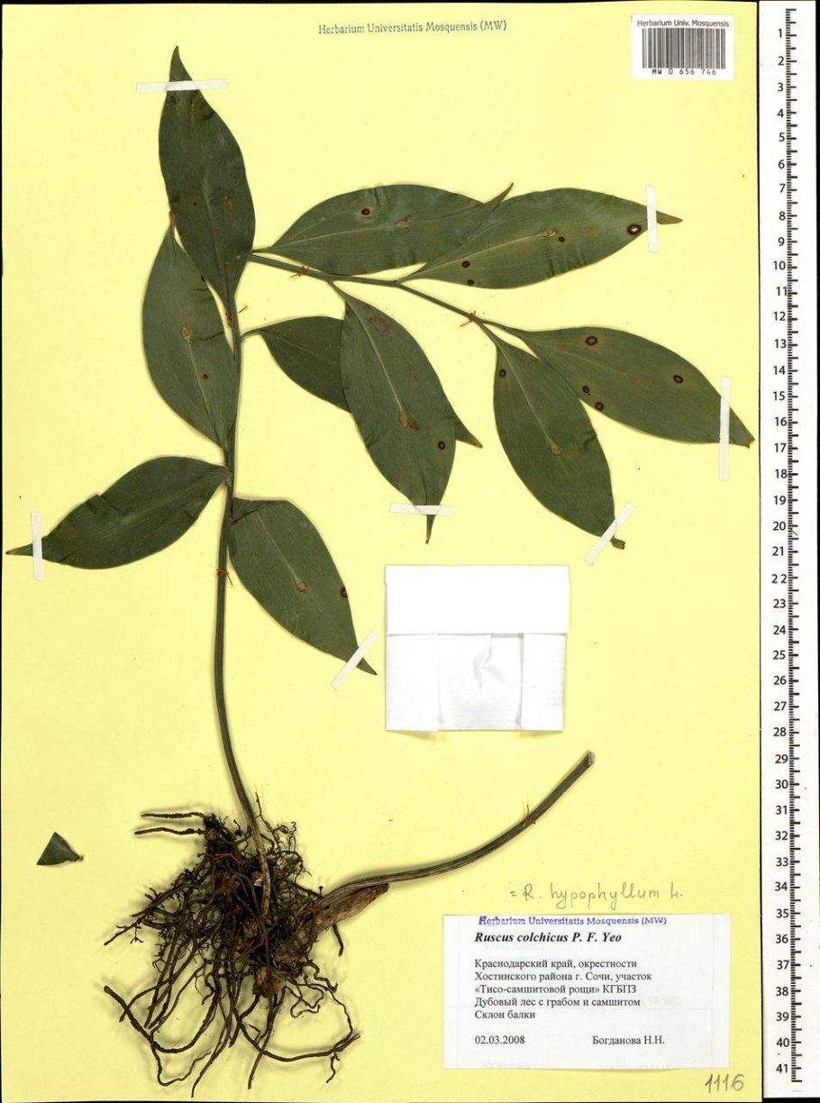 Магнитофон Mason ls107m